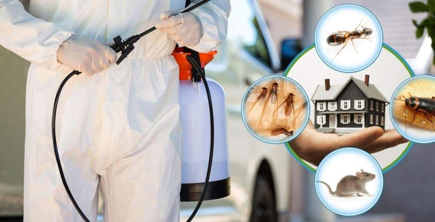 Bodrum Böcek İlaçlama