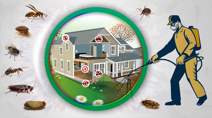 Bodrum Böcek İlaçlama