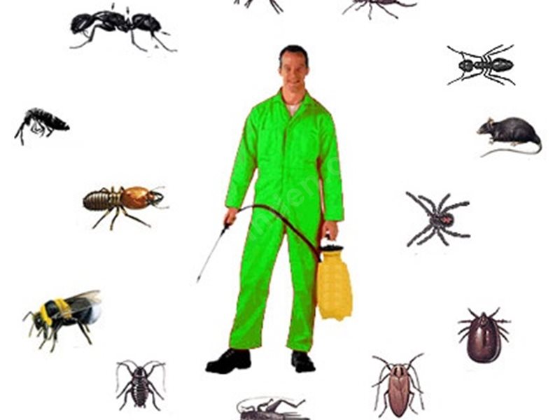 Bodrum Böcek İlaçlama